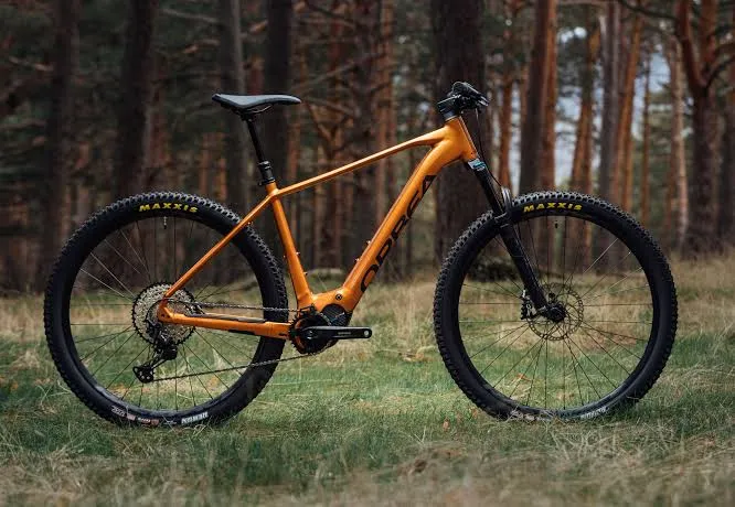 Vélo électrique taille XL